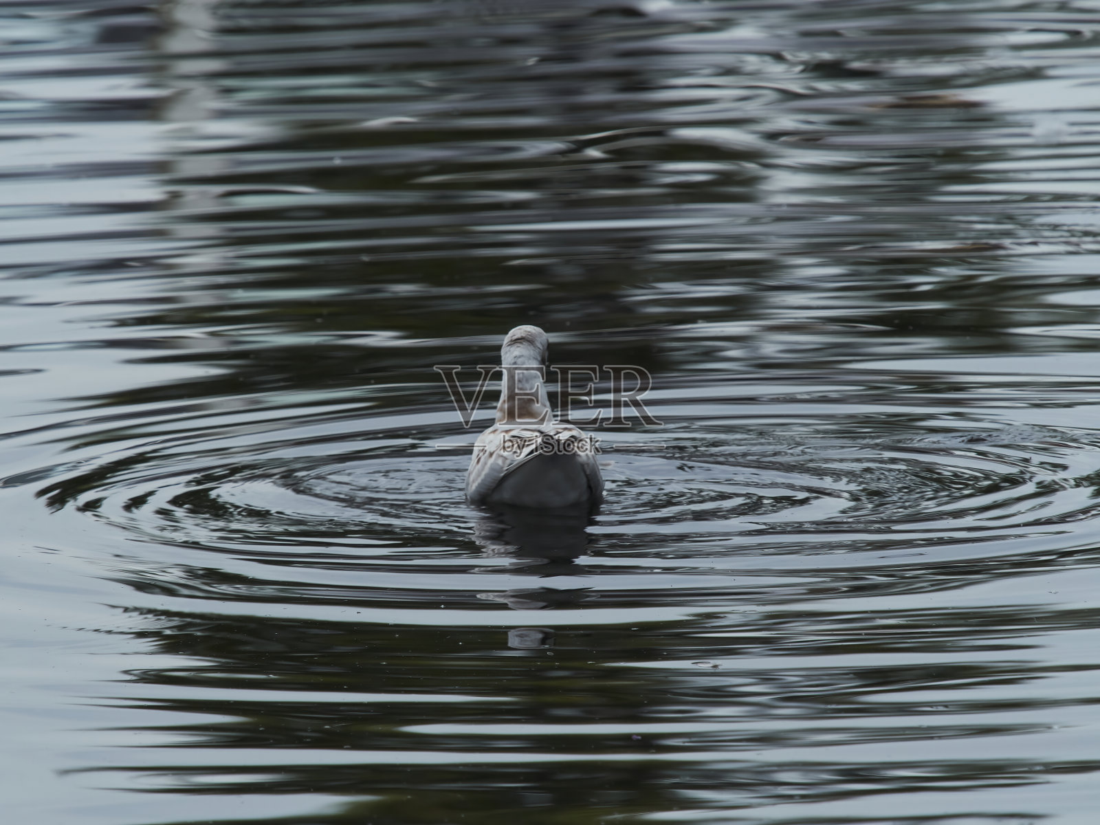 玻璃水迷宫照片摄影图片