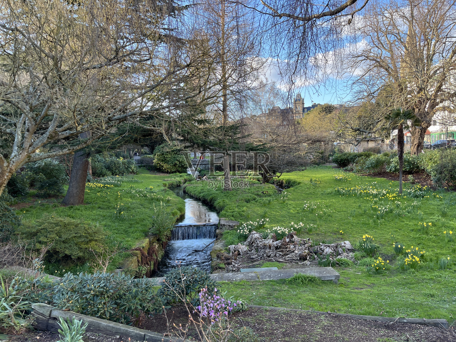 自然的混合照片摄影图片