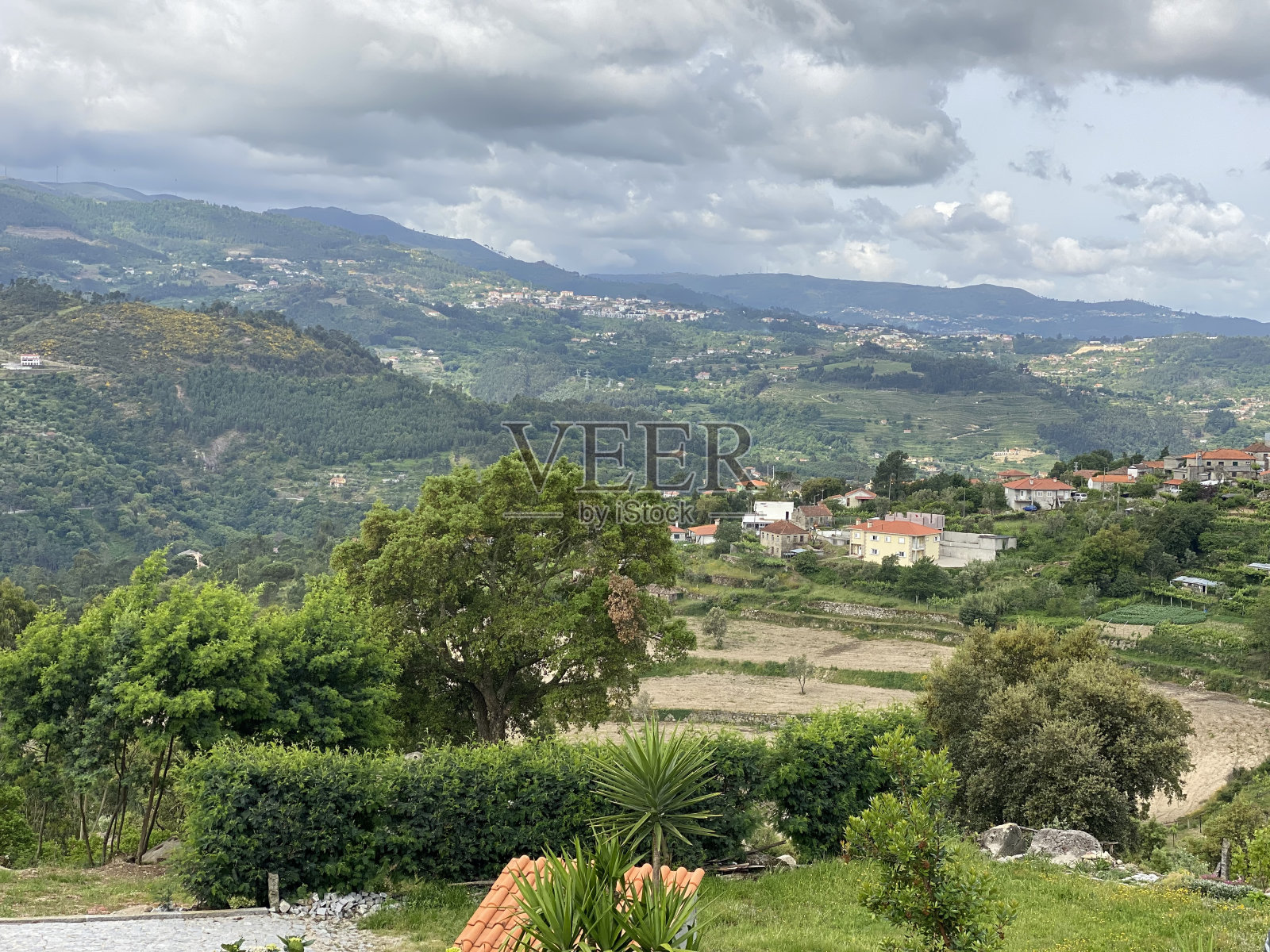 Duoro谷照片摄影图片