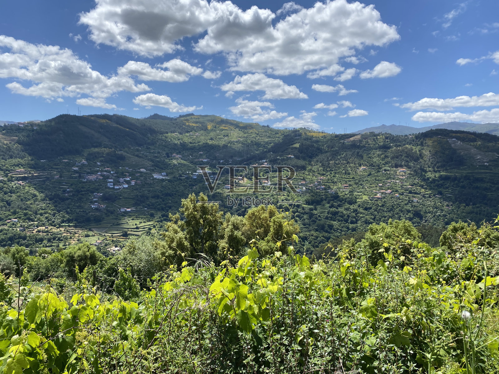 Duoro谷照片摄影图片