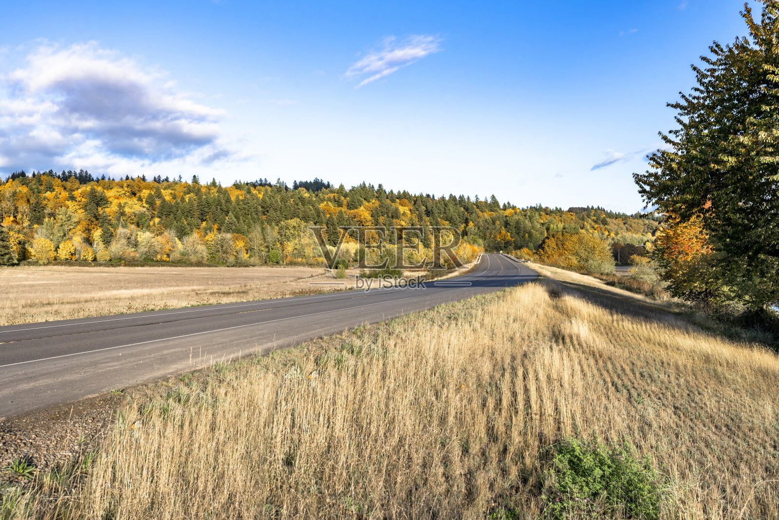 在树木枯黄草枯的秋山间，有一条阳光明媚的路照片摄影图片