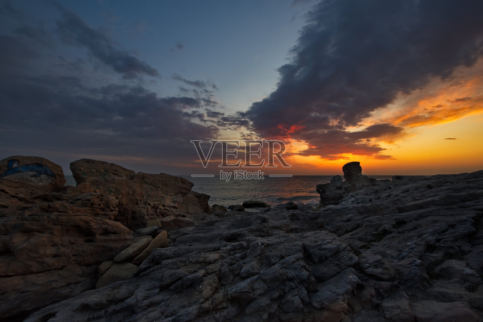 春晓上海堤照片摄影图片