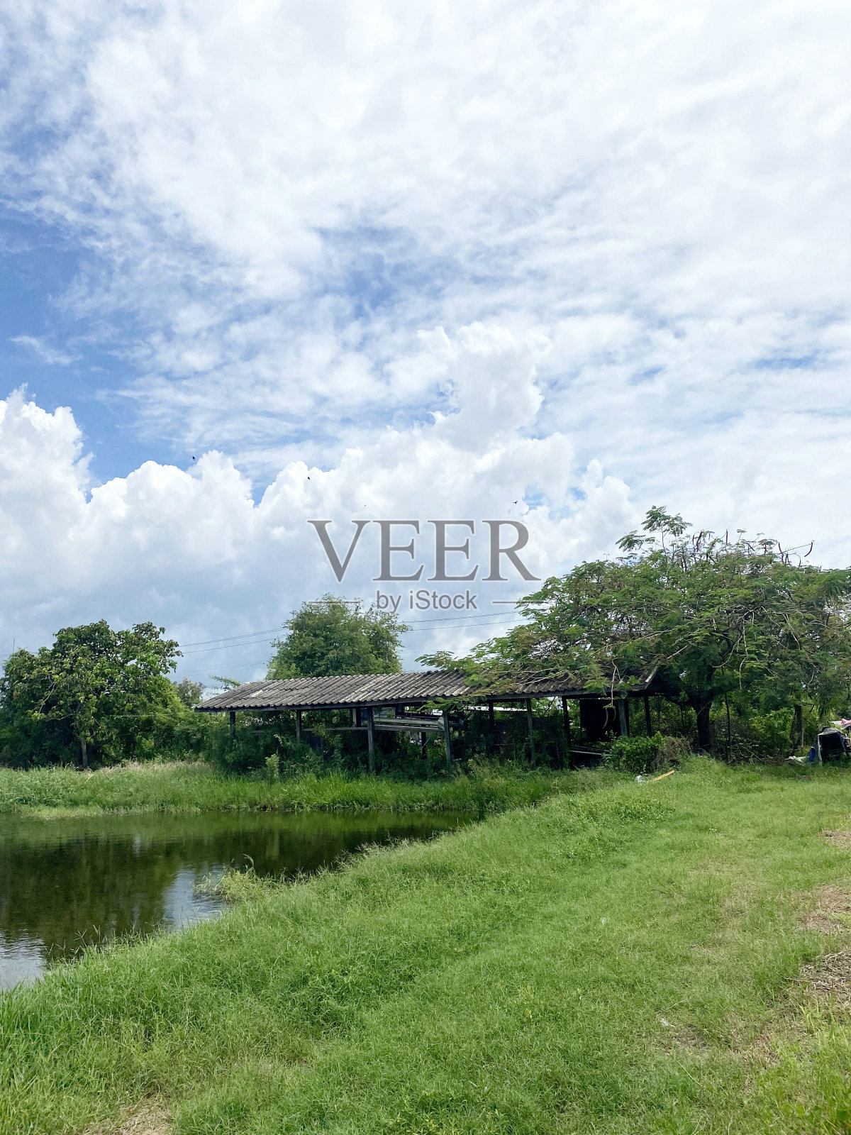 泰国Chachoengsao的乡村景色照片摄影图片