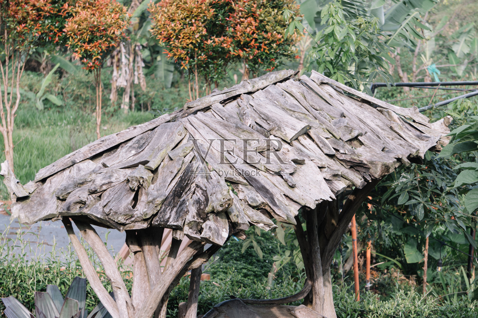 花园里的旧木秋千照片摄影图片