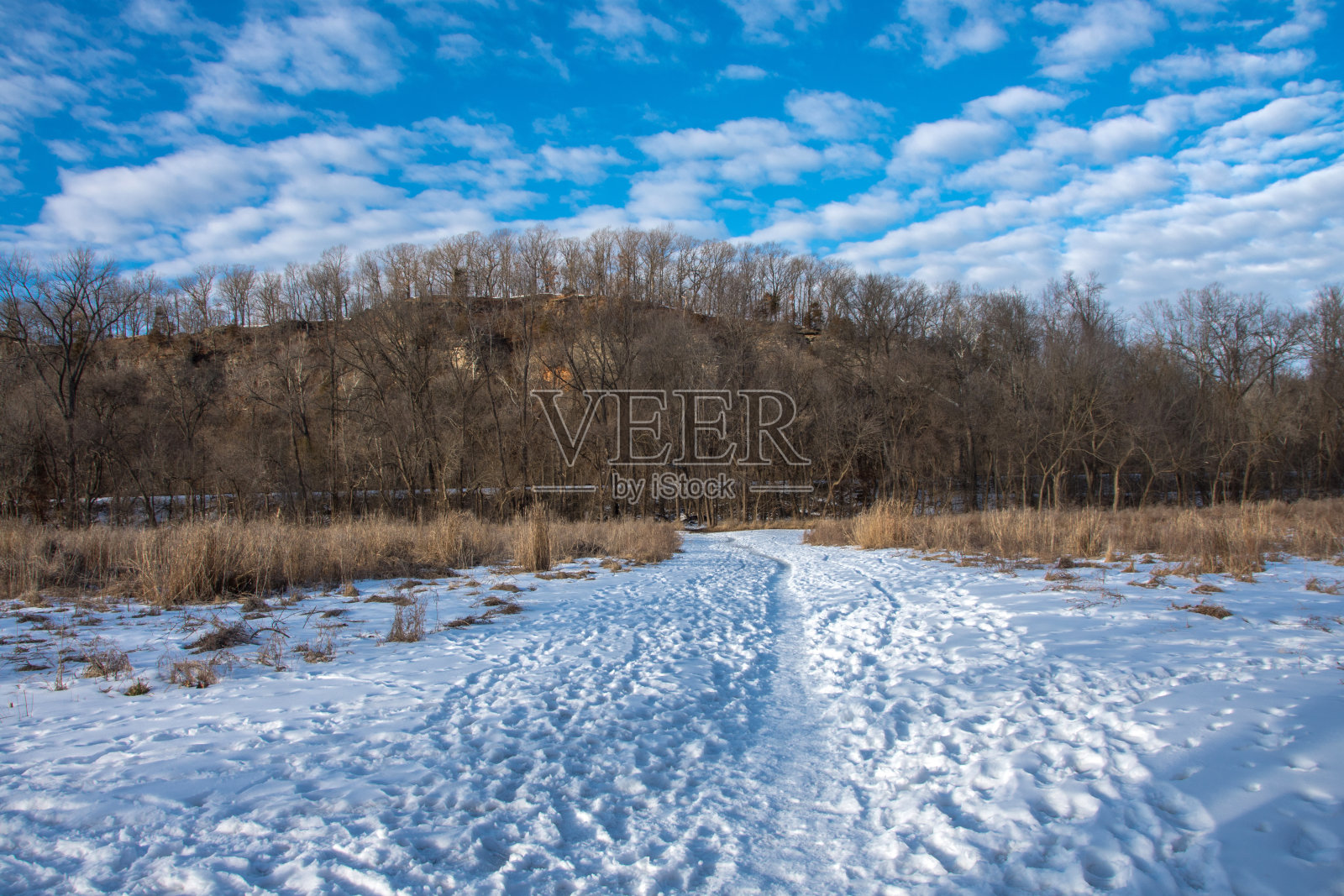 卡斯尔伍德国家公园-水平的冬季小径照片摄影图片