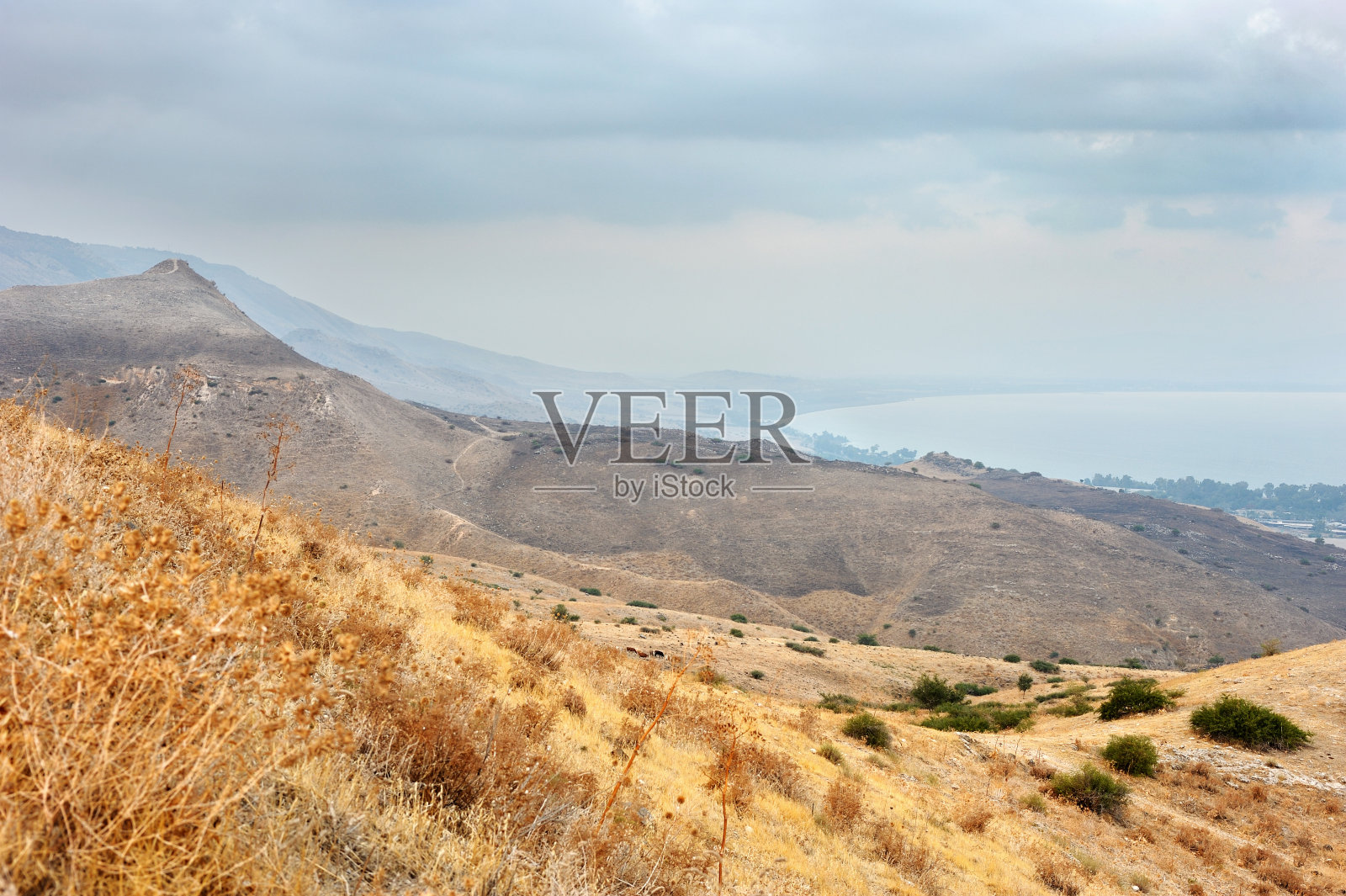 戈兰高地的山坡照片摄影图片