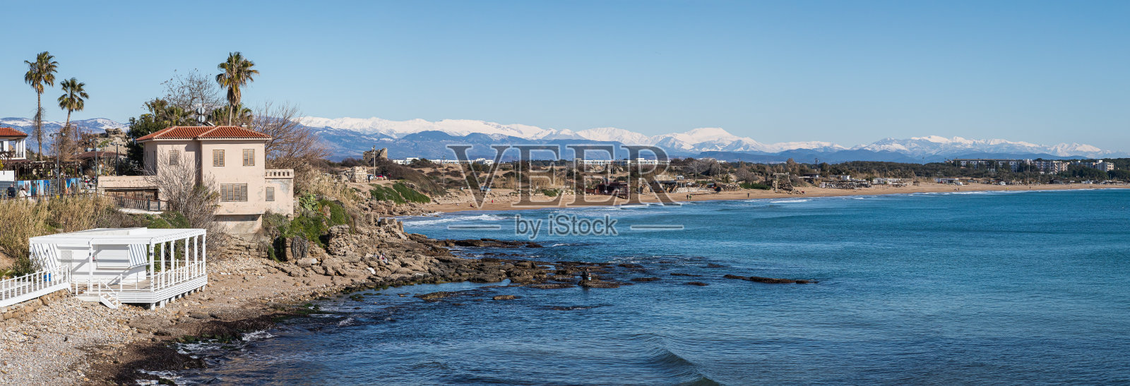 火鸡照片摄影图片