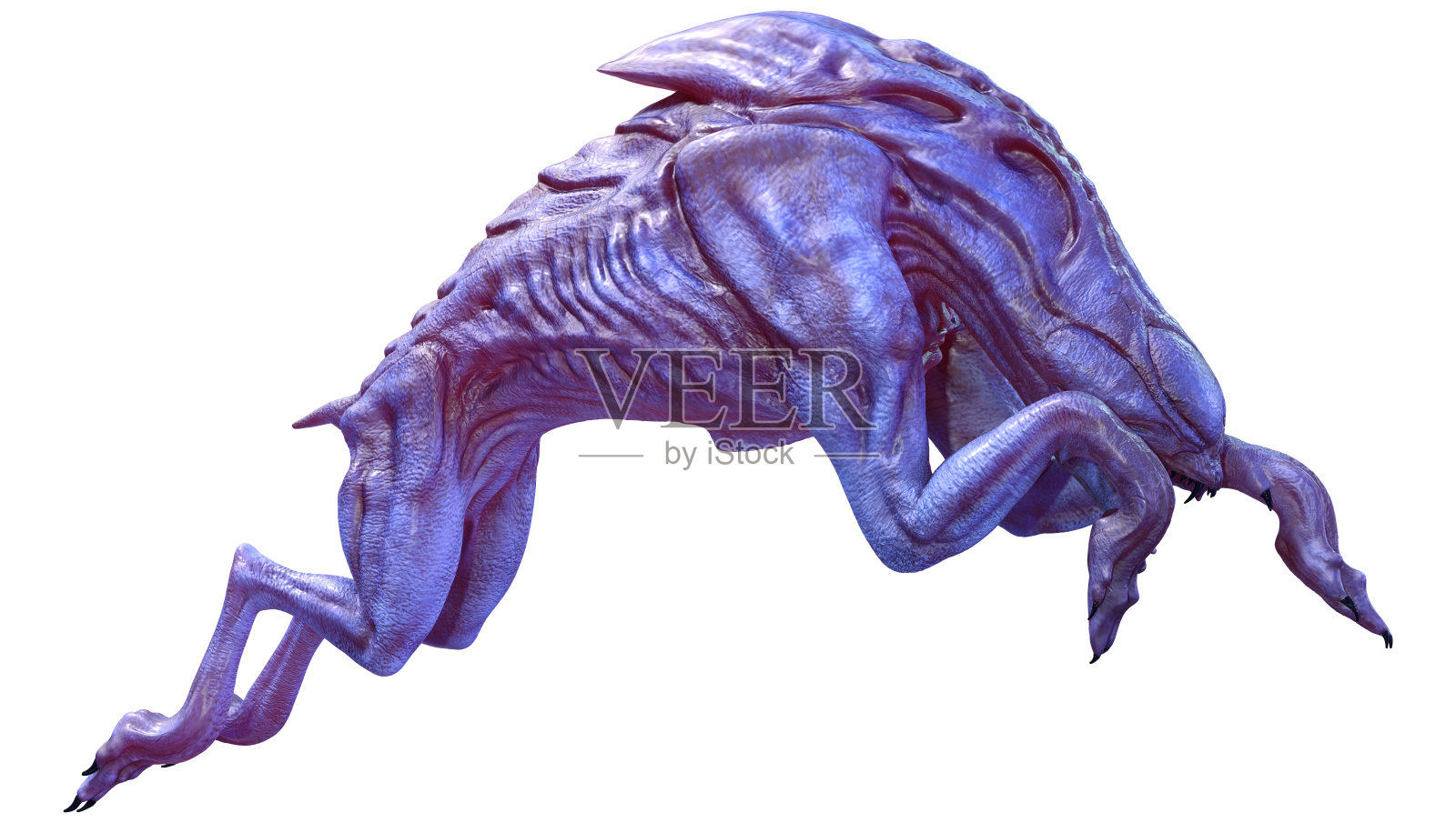 3D渲染外星人狗在白色照片摄影图片