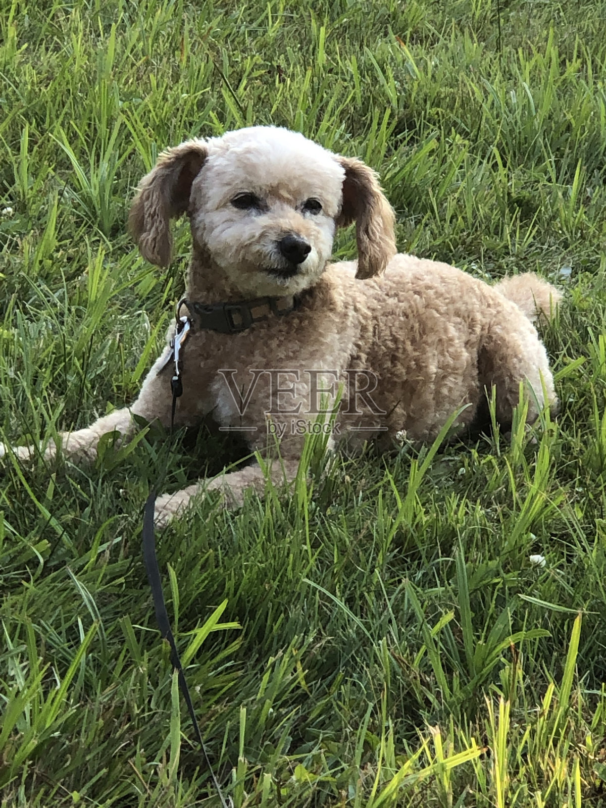 放松照片摄影图片