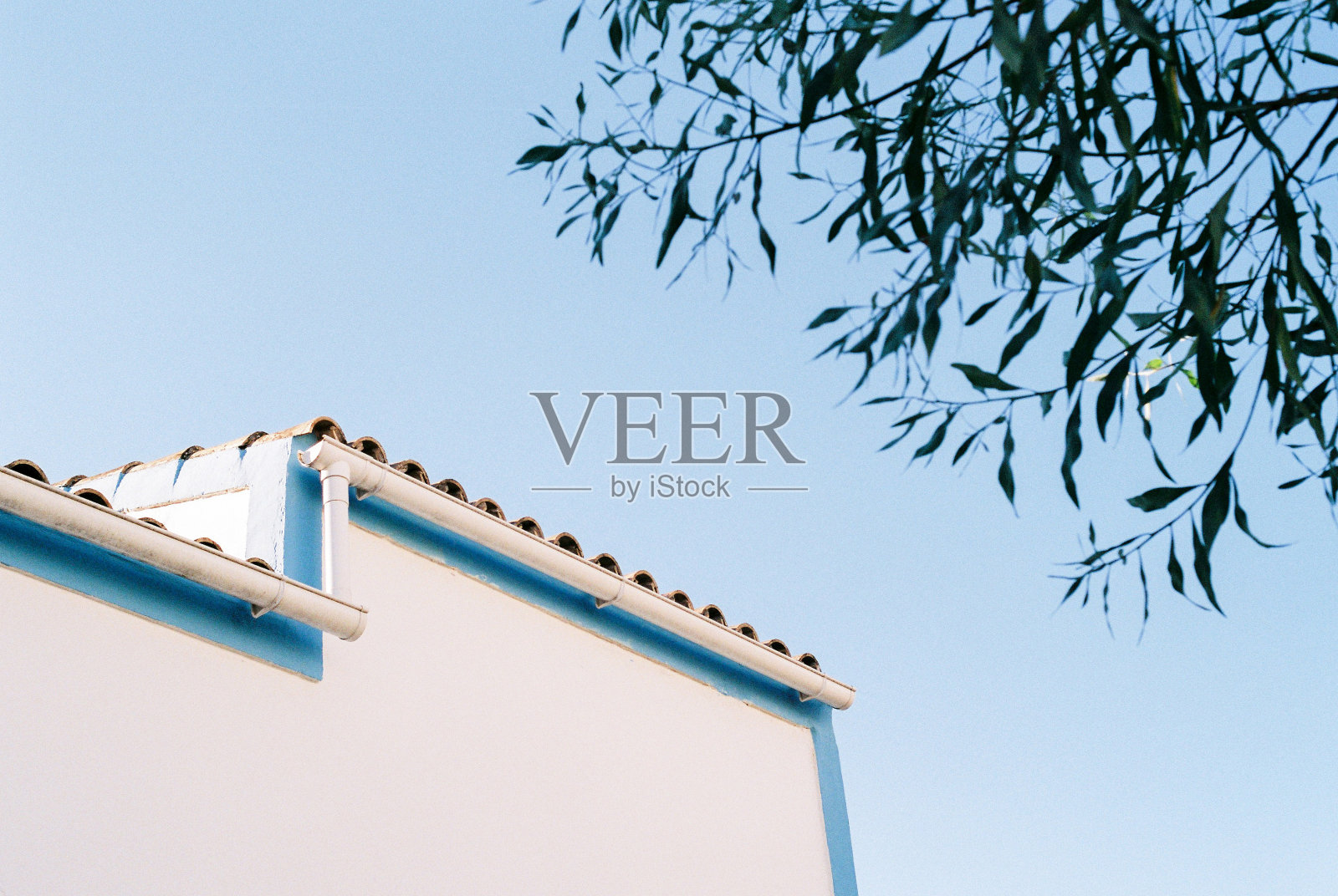 房子和树在formentera照片摄影图片