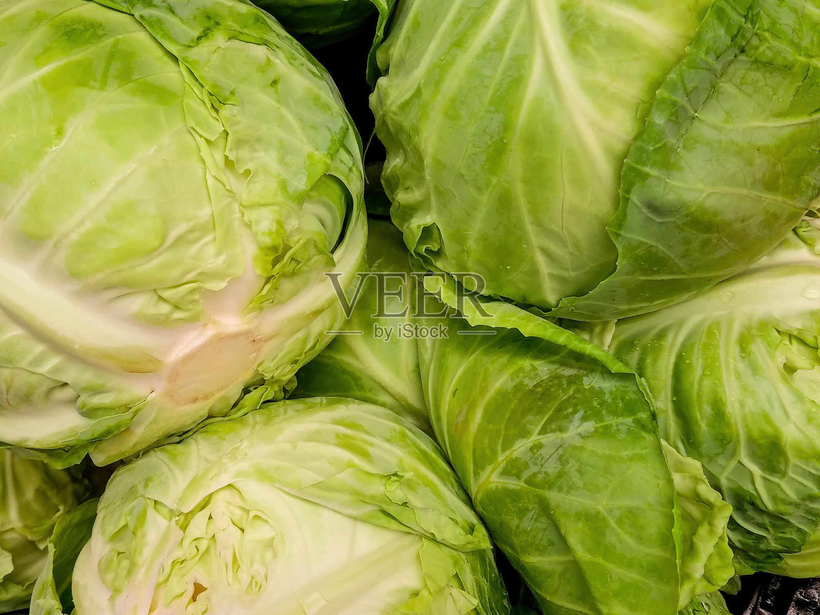 卷心菜特写照片摄影图片