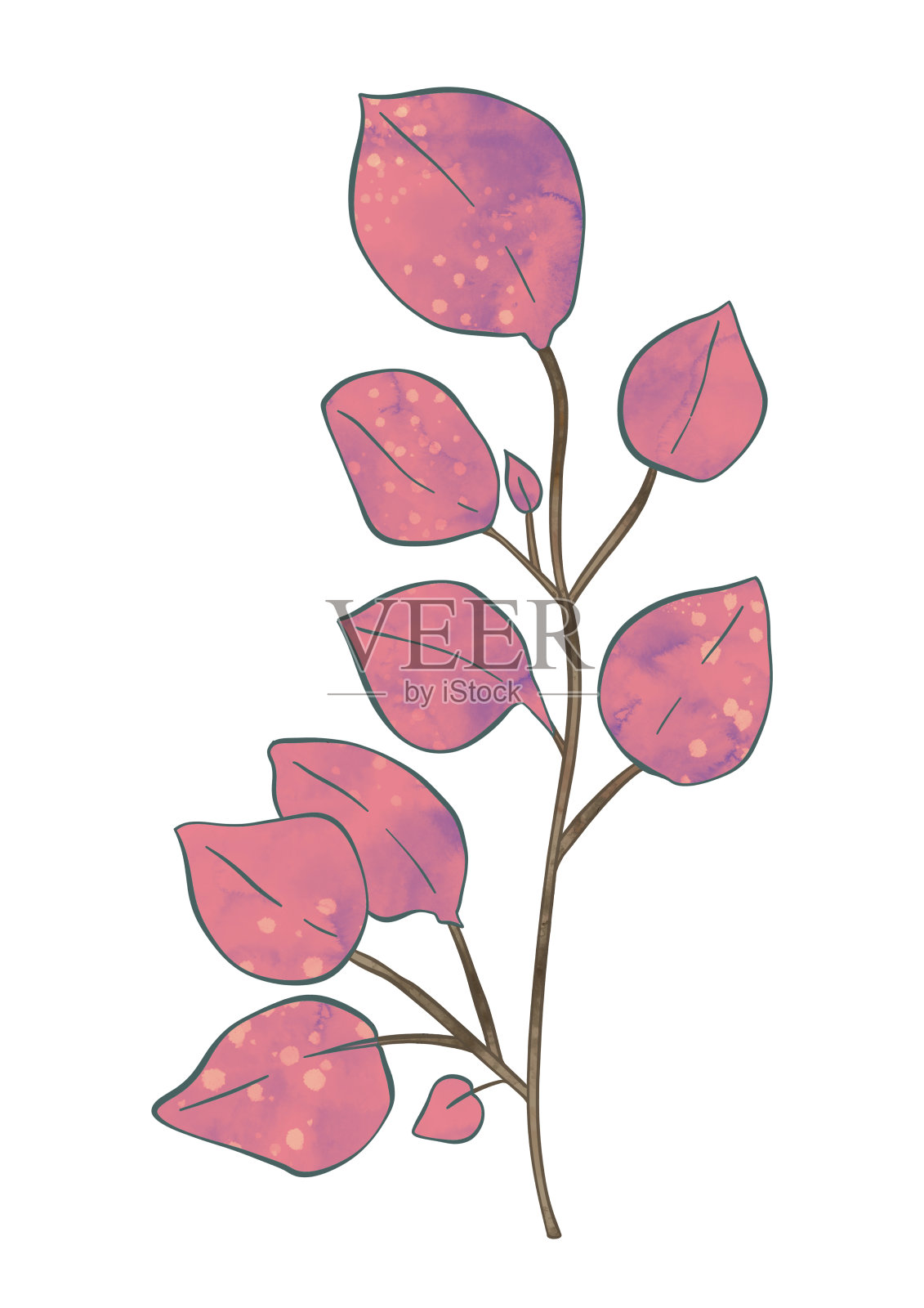枝叶生态粉红色在水彩风格在白色背景。树枝上的叶子装饰图案。插画图片素材