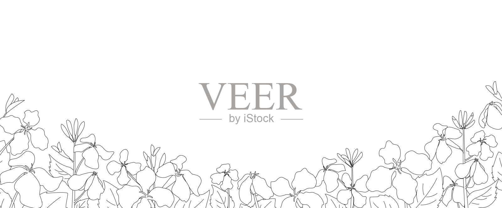 旗帜设计的景观与春天的花朵画的黑色线画在白色的背景上。插画图片素材