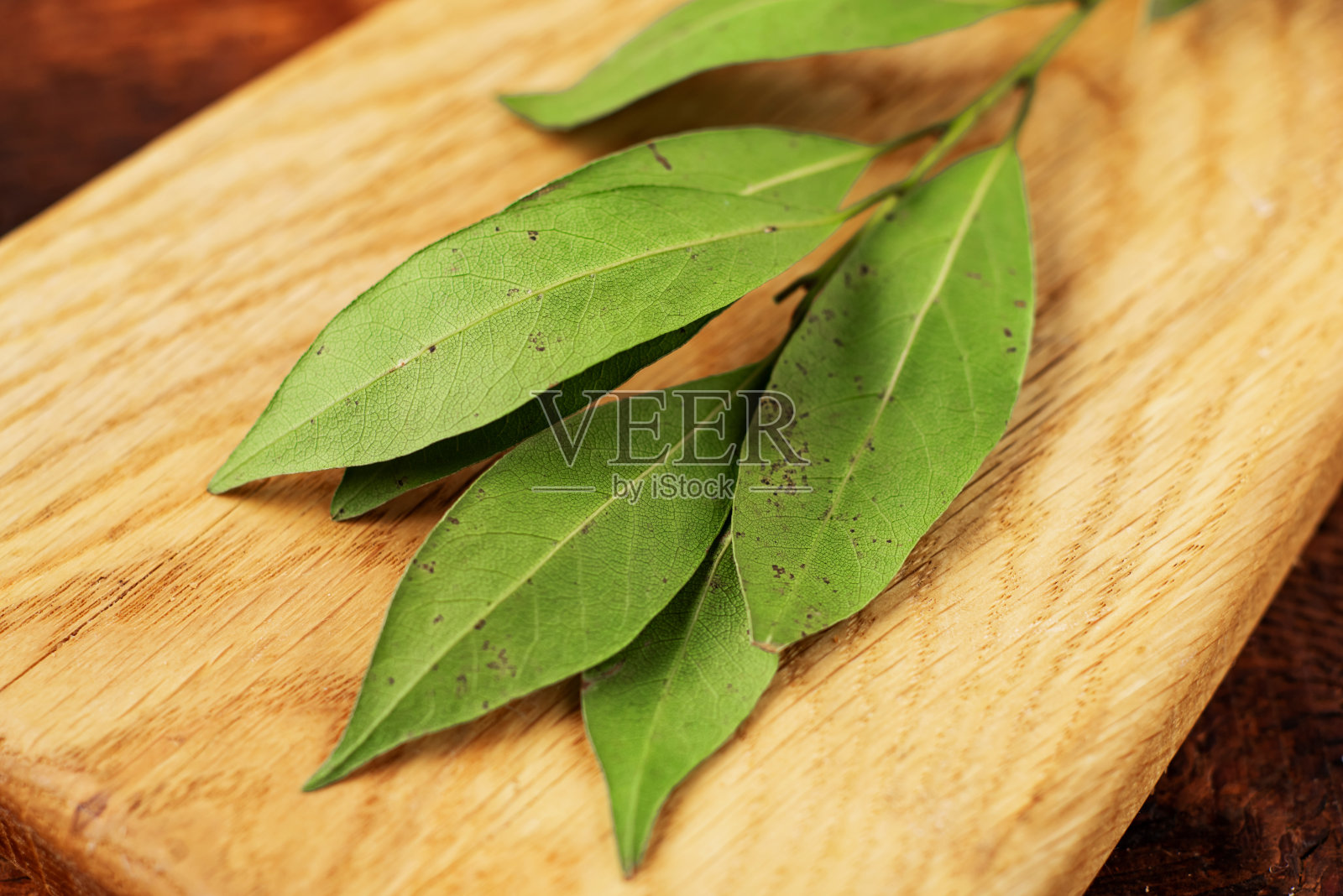 树枝上有月桂叶。宏。光木制背景。照片摄影图片