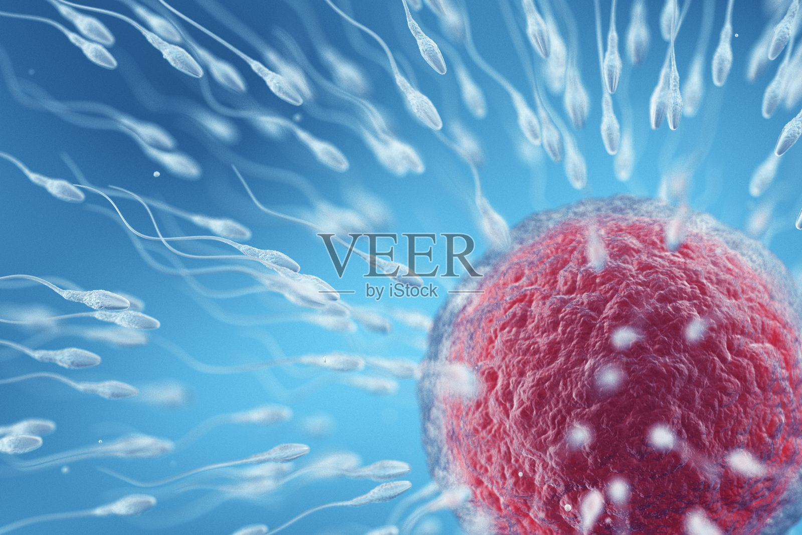 人类的生育能力照片摄影图片