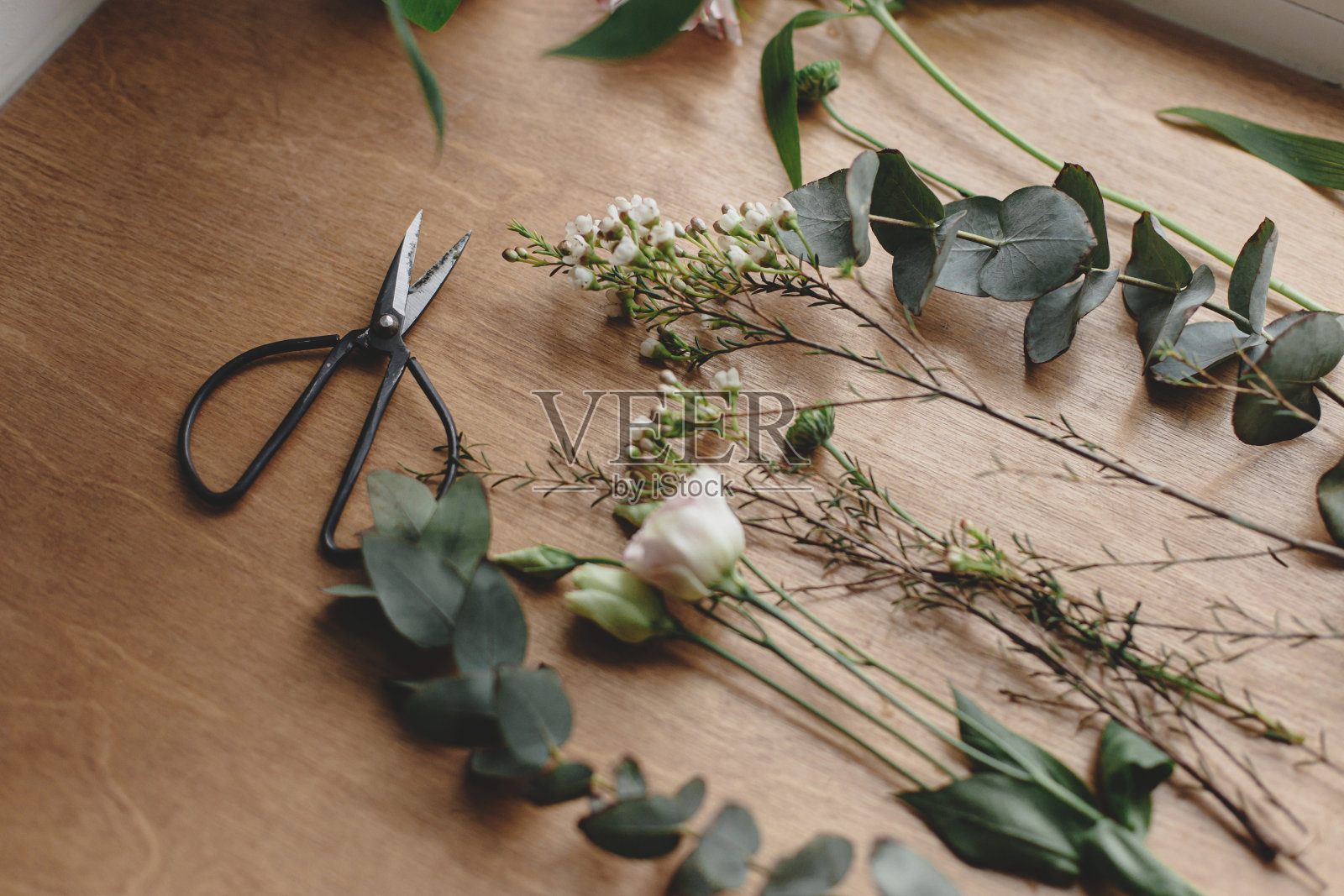 美丽的鲜花和剪刀在木制背景顶视图，插花。春天现代花束。木窗上的麦卢卡，白花菊，桉树照片摄影图片