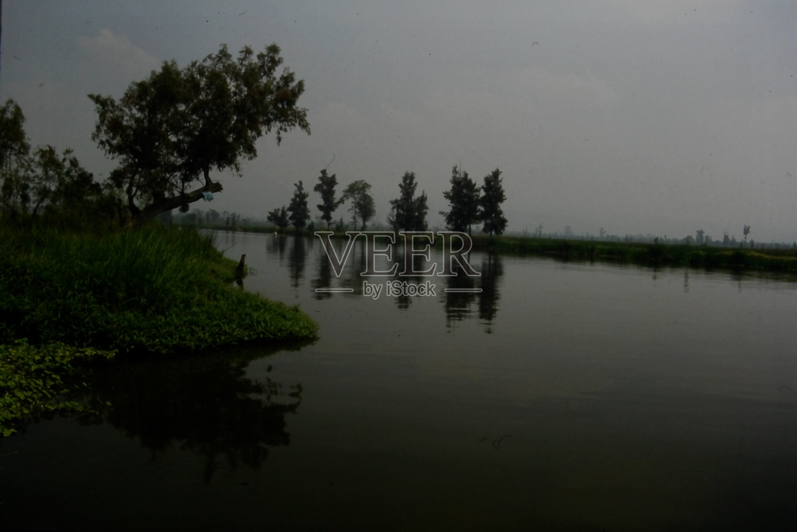 湖边的树顶着天空照片摄影图片