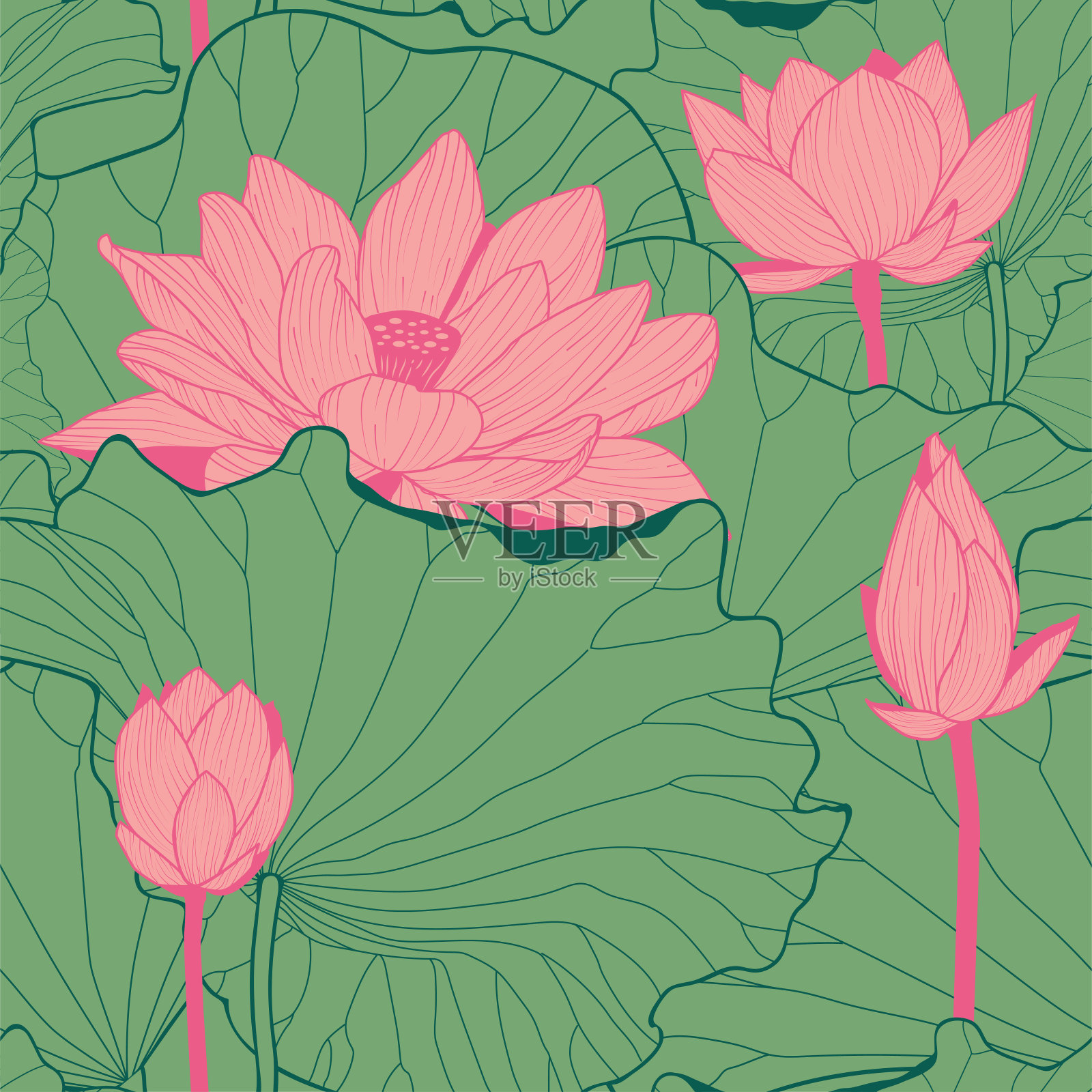 亚洲的莲花插画图片素材