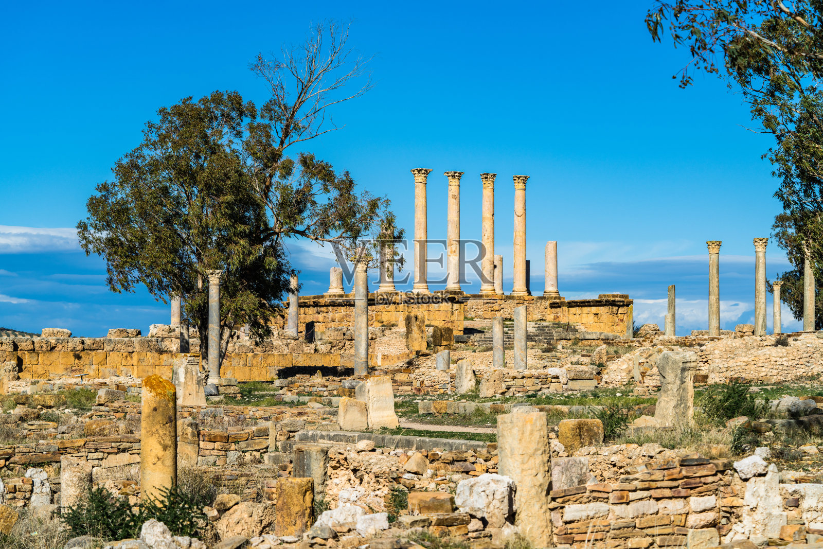 Thuburbo博士照片摄影图片