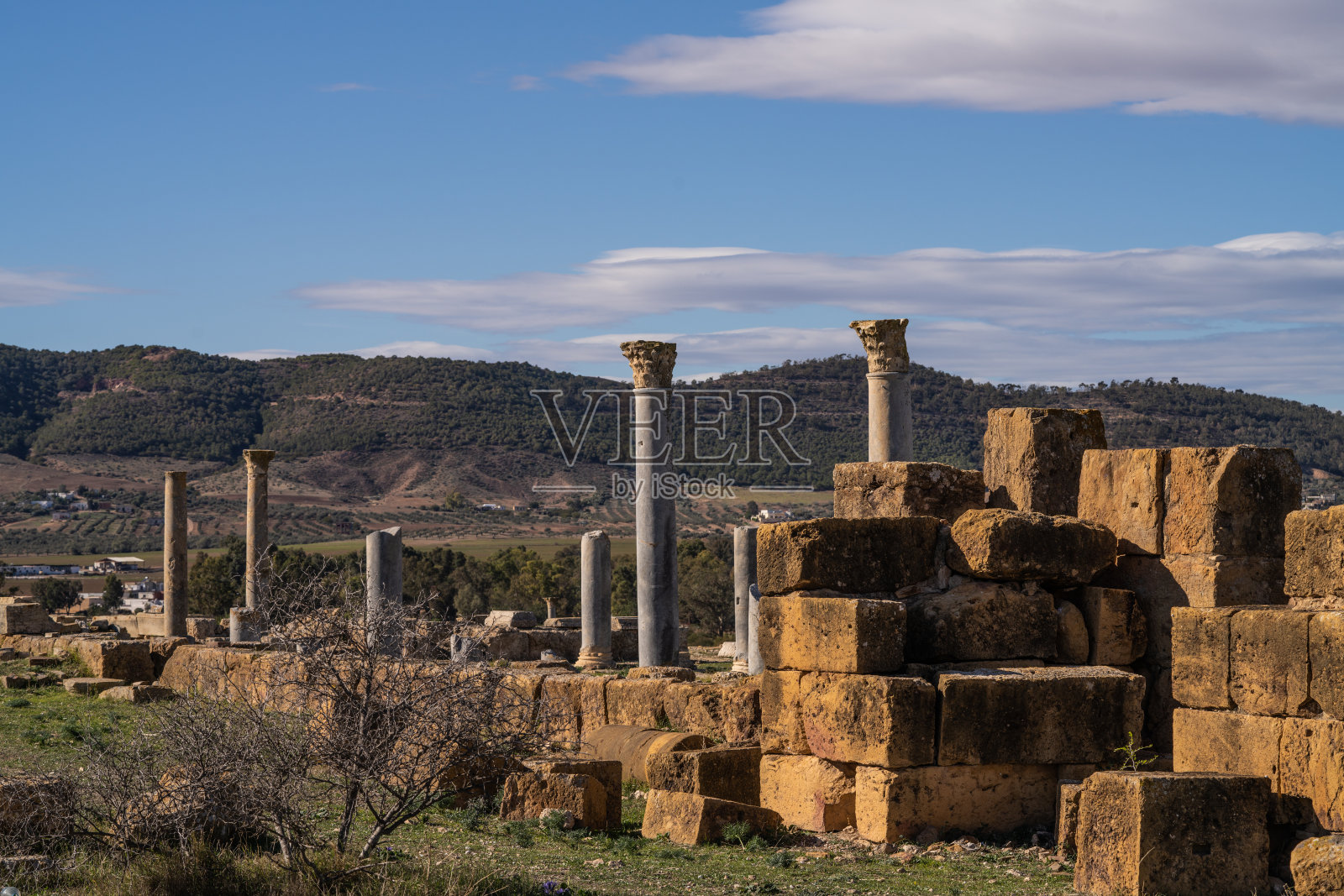 Thuburbo博士照片摄影图片