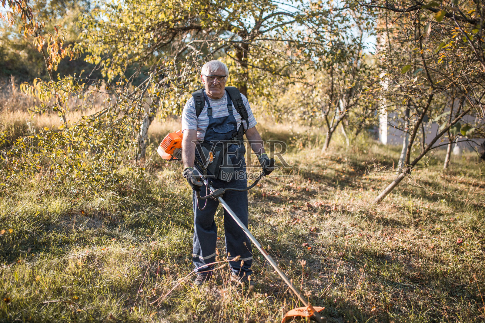 一位退休老人在阳光明媚的日子里在院子里割草照片摄影图片