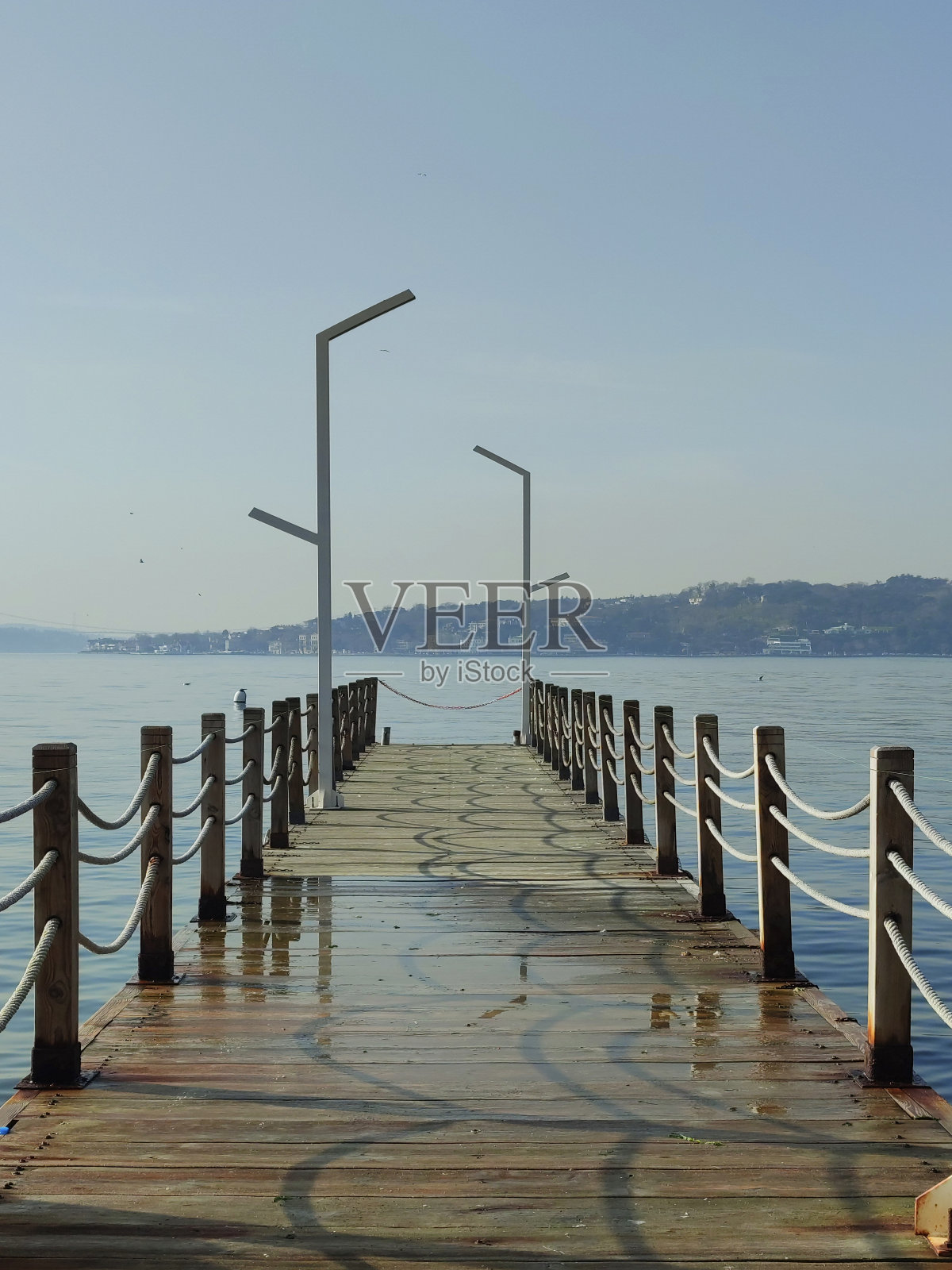 老木墩照片摄影图片