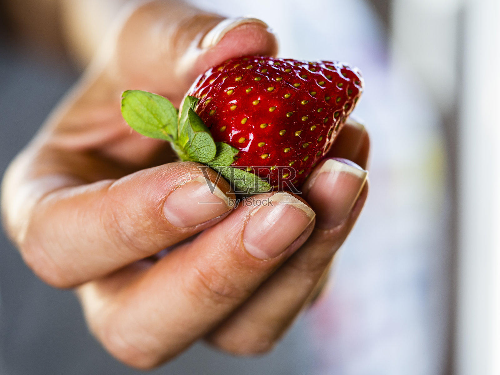 与草莓照片摄影图片
