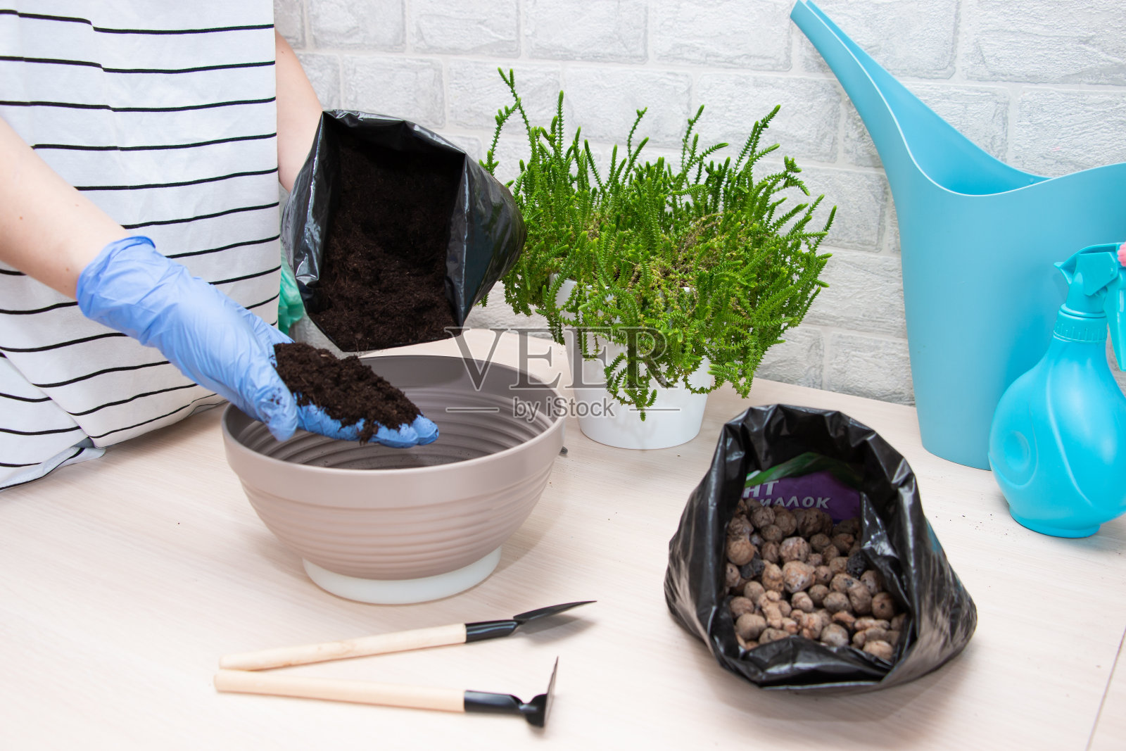 一位妇女正在家里插花。家庭花园和植物护理的概念。照片摄影图片