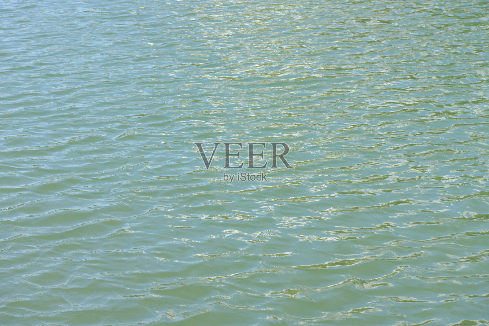 在干燥晴朗的夏日，城市公园池塘里的水泛起涟漪照片摄影图片