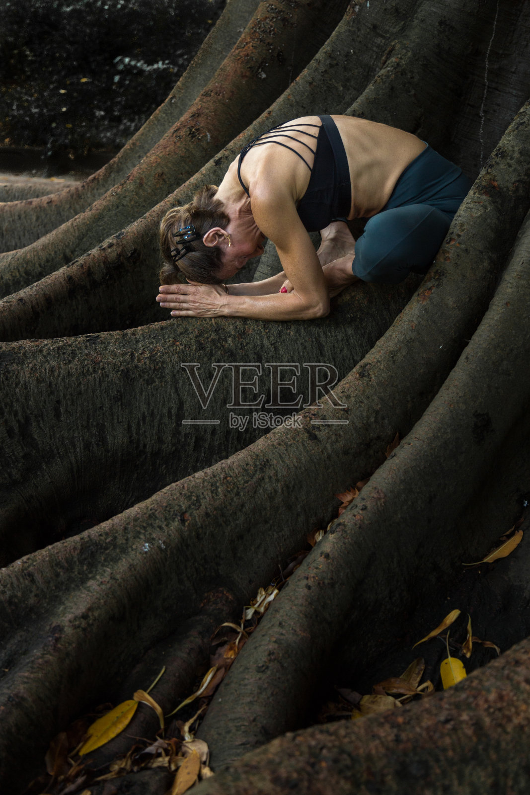 瑜伽户外照片摄影图片