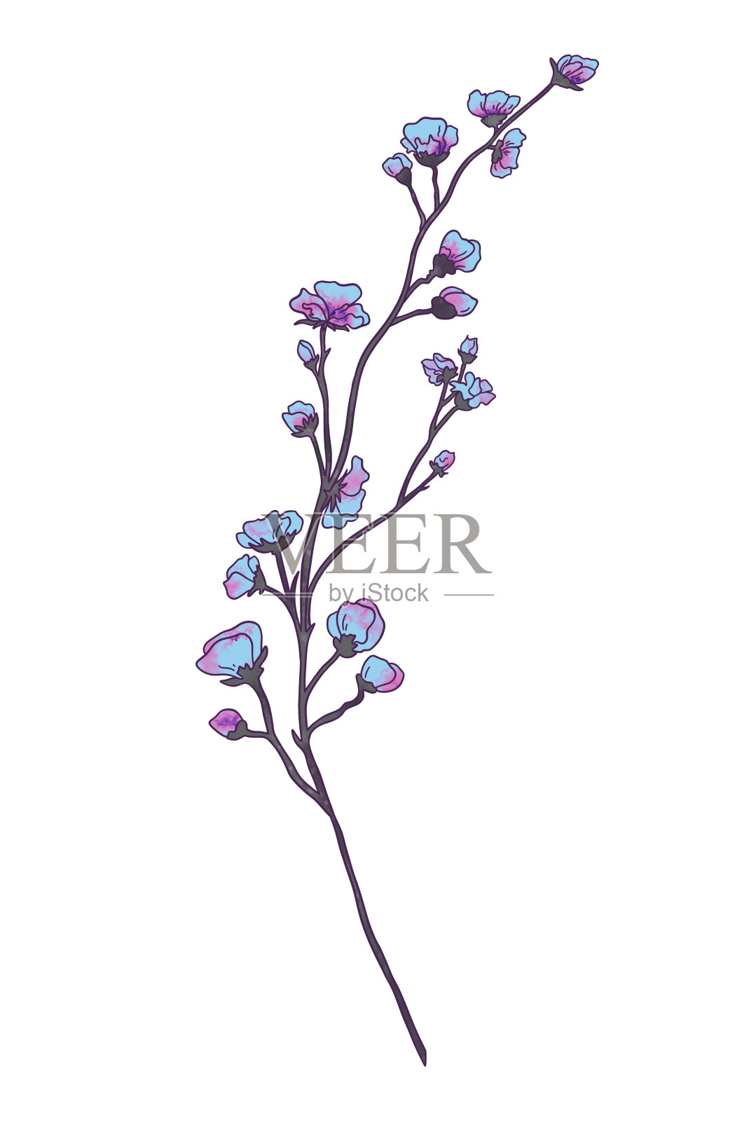 枝叶生态与蓝色花在白色背景上水彩风格。树枝上的叶子装饰图案。插画图片素材