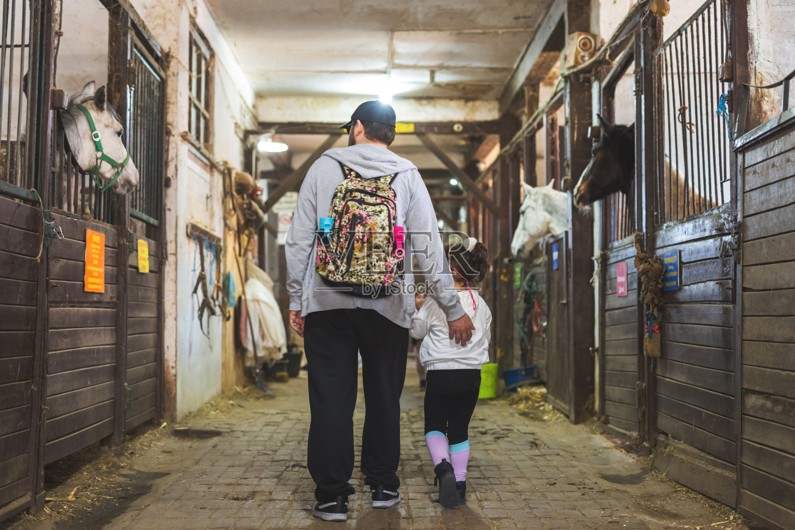 父女在马厩里看马照片摄影图片