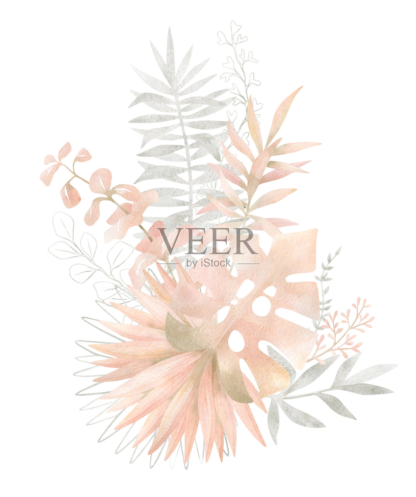 水彩植物插画图片素材