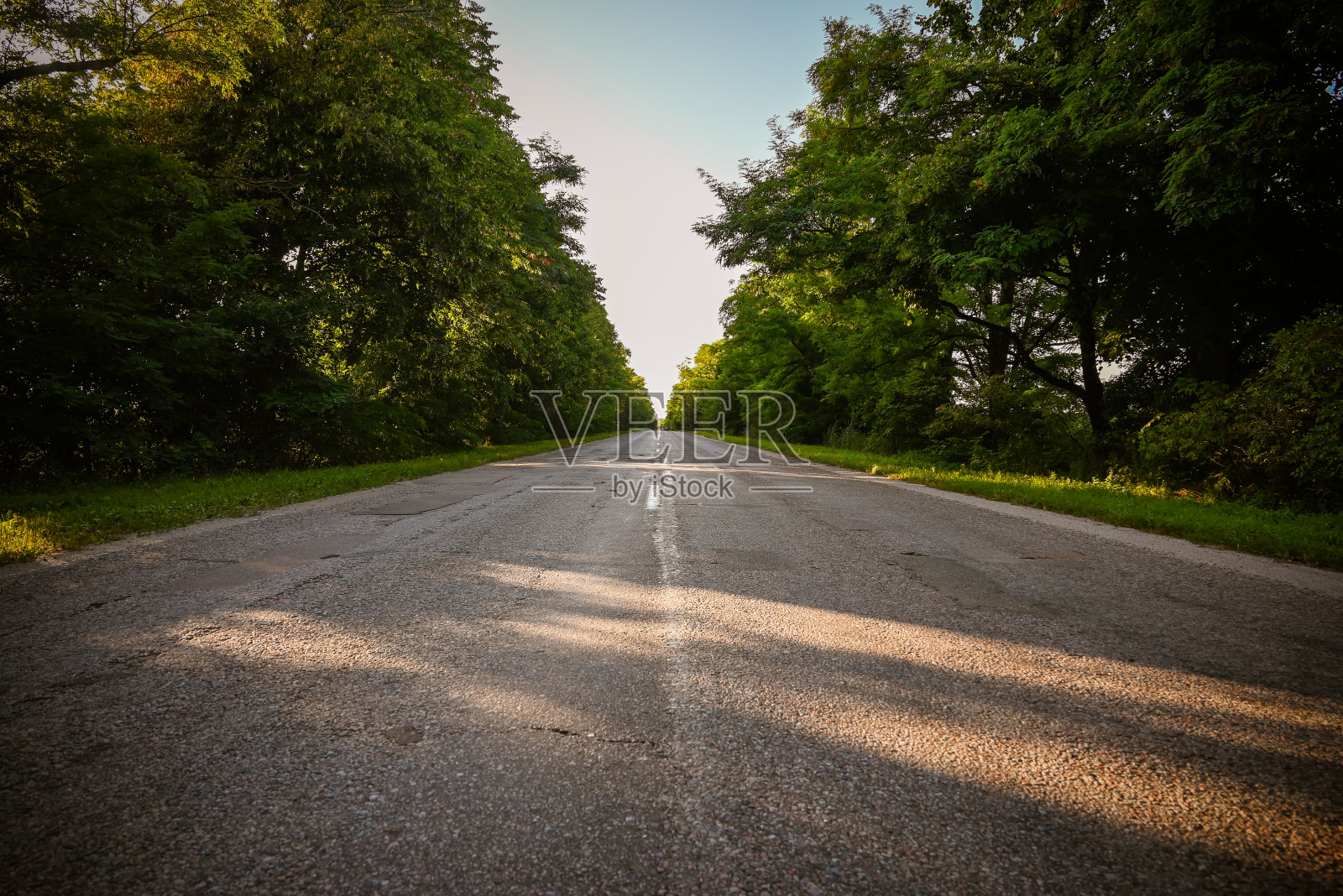 森林中央一条无边无际的小路。绿色、茂盛、未受污染的树木点缀着徒步旅行的小径。一幅罕见美景的自然景观全景图照片摄影图片