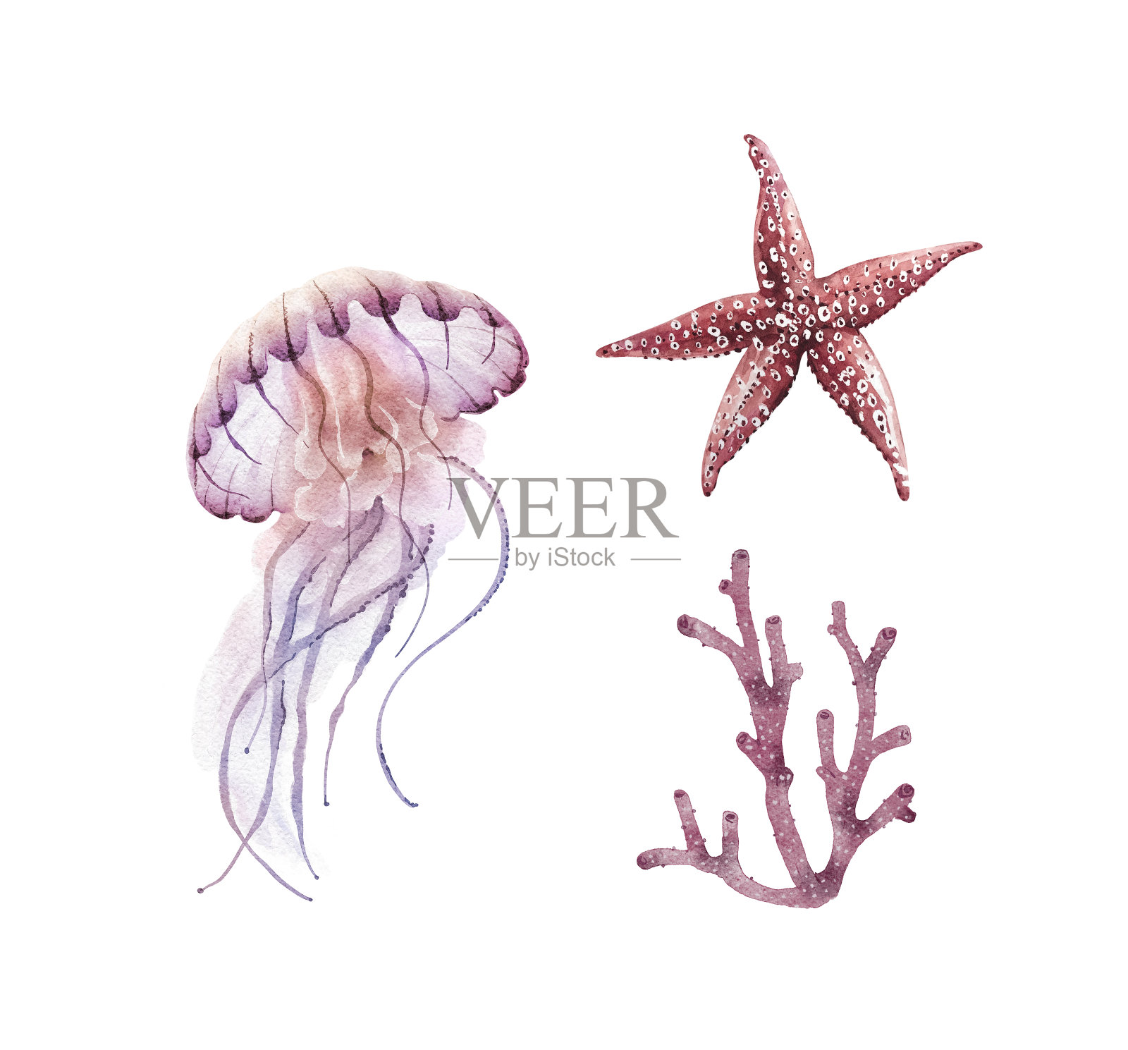 海洋套珊瑚及生物动物，手绘水彩。插画图片素材