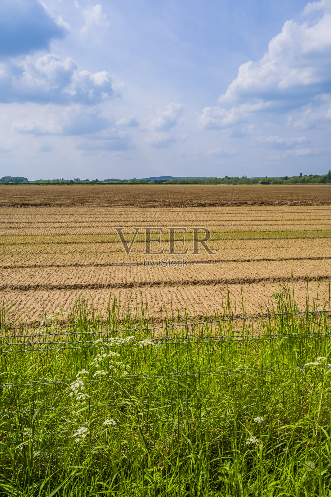 农业景观红土肥沃，土壤肥沃，农田耕田照片摄影图片