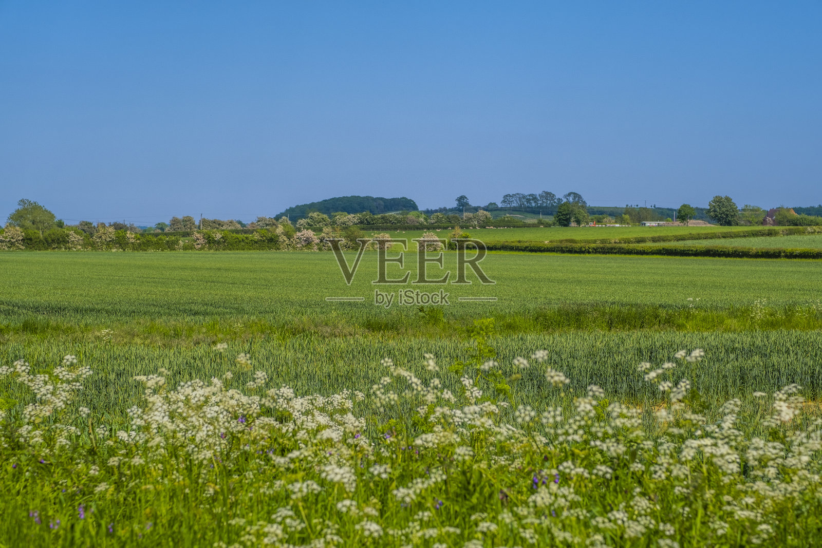全景图一般的英国农田在春天伍斯特郡英格兰照片摄影图片