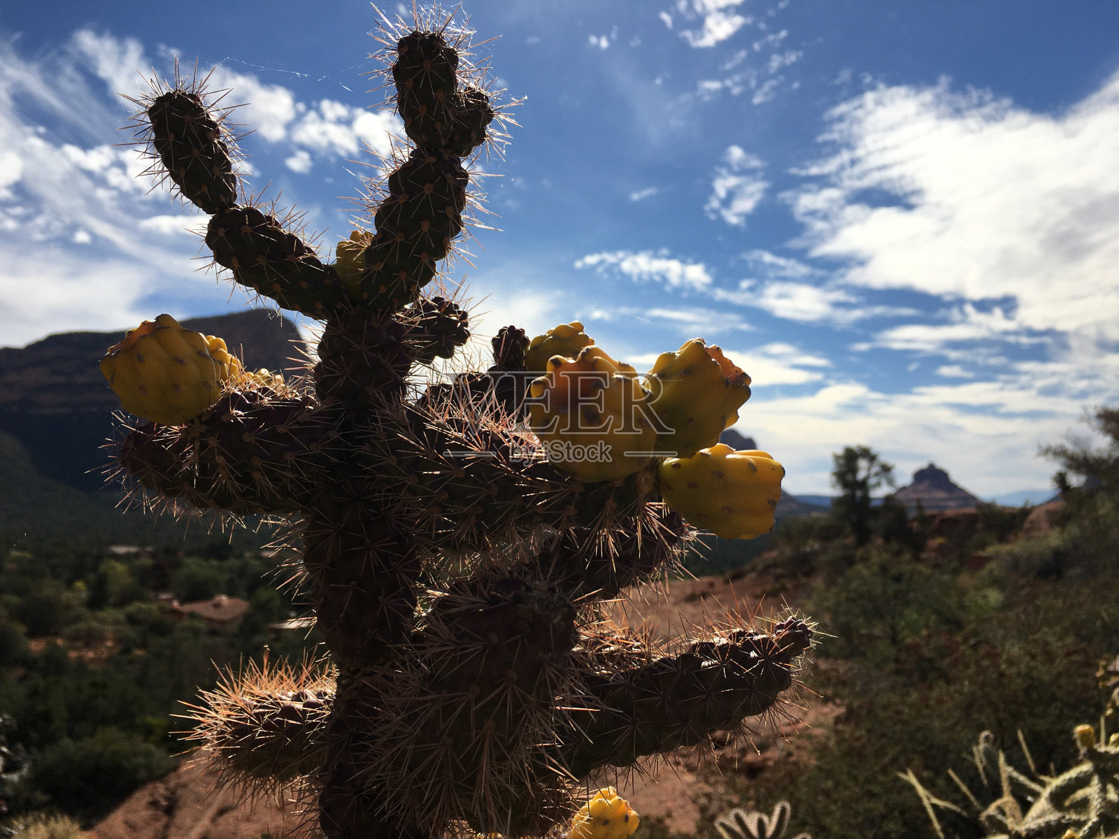 从亚利桑那州的圣十字架教堂俯瞰塞多纳。照片摄影图片