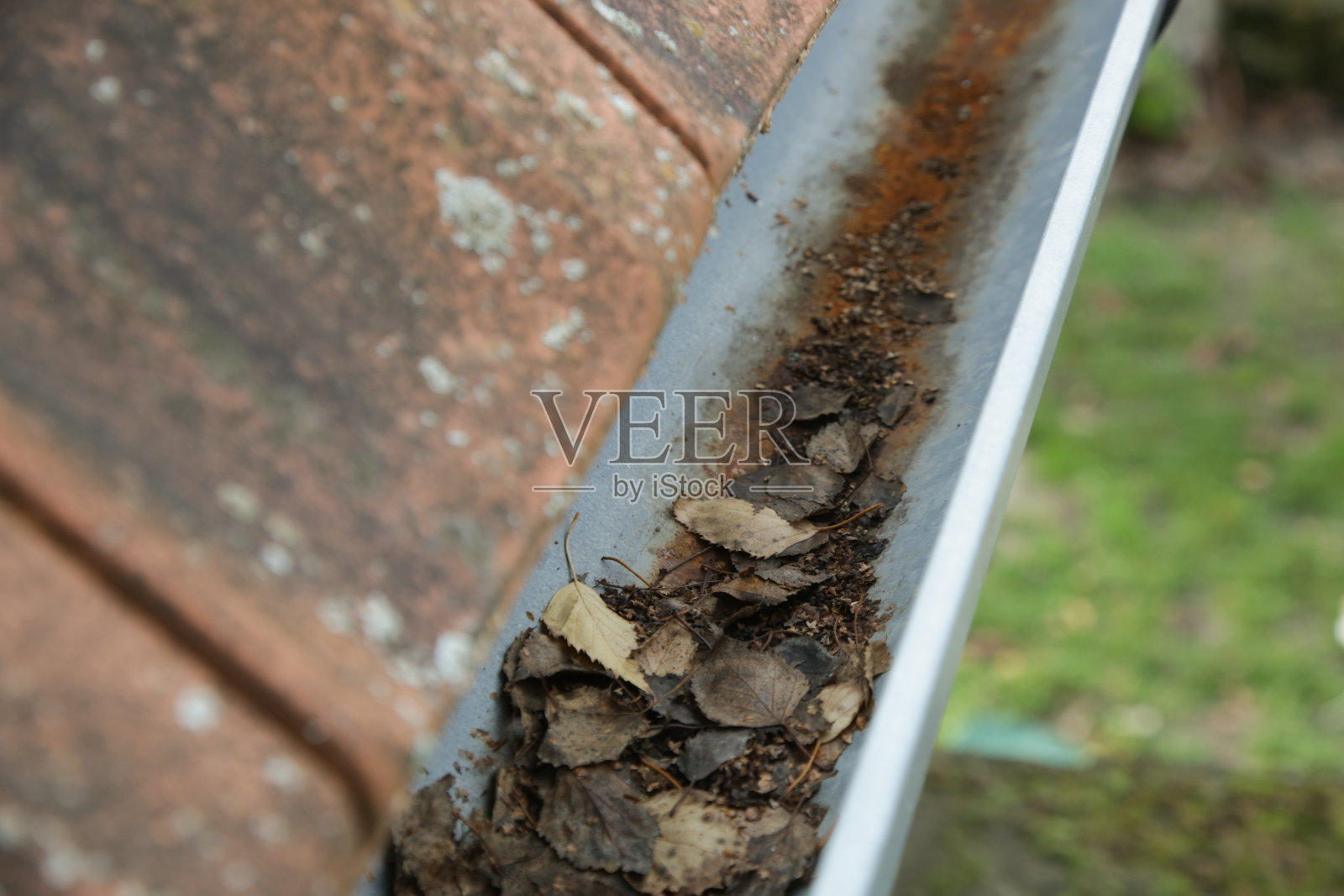 满是落叶和泥土的水沟。照片摄影图片