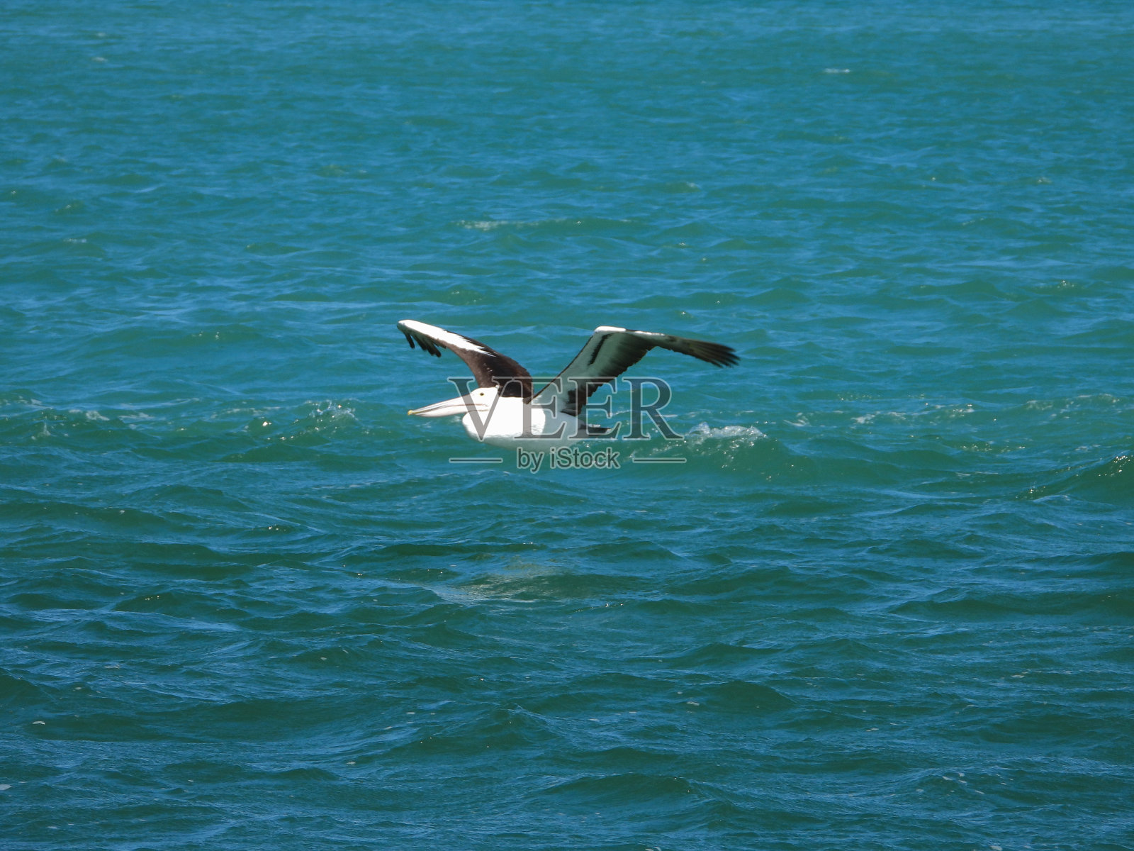 湖泊入口，维多利亚，澳大利亚照片摄影图片