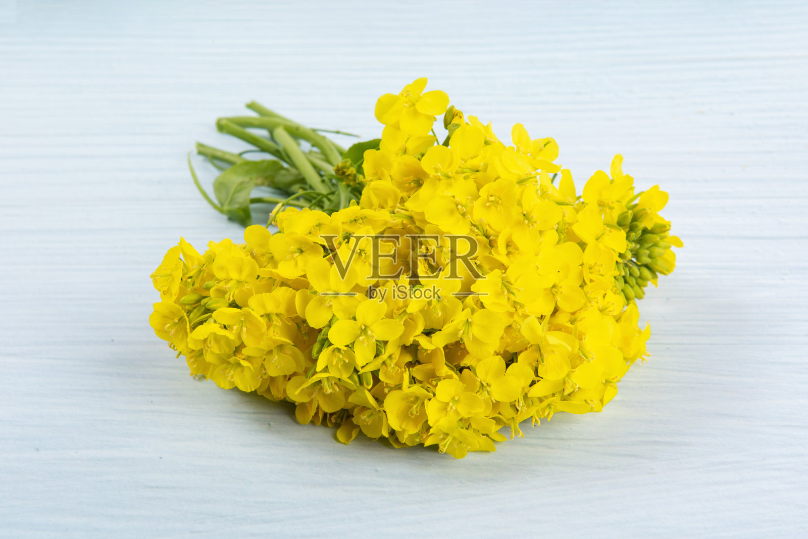 美丽的油菜籽花在木制的桌子背景照片摄影图片