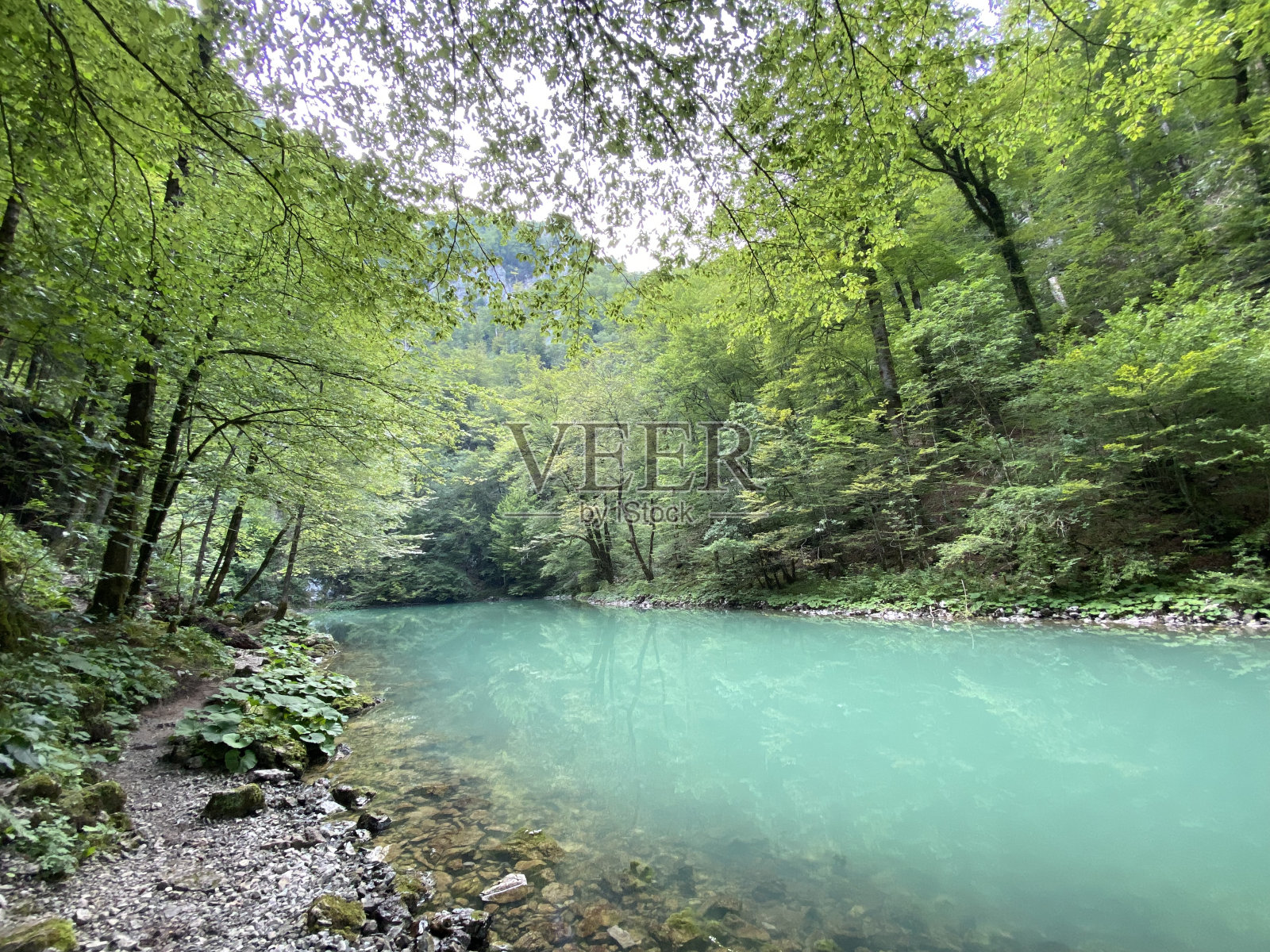 课程》春河喀斯特面的Kupa直接山- Razloge,克罗地亚(Tok rijeke Kupe neposredno豆荚goranskim krš金vrelom Razloge -戈尔斯基自毁,Hrvatska)照片摄影图片