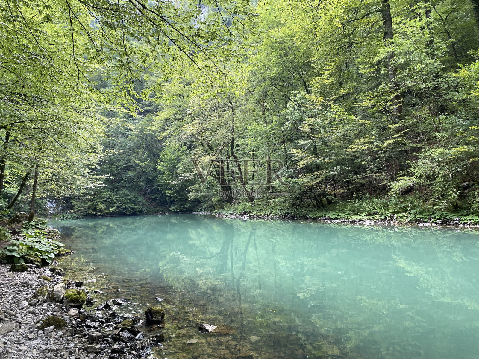 课程》春河喀斯特面的Kupa直接山- Razloge,克罗地亚(Tok rijeke Kupe neposredno豆荚goranskim krš金vrelom Razloge -戈尔斯基自毁,Hrvatska)照片摄影图片