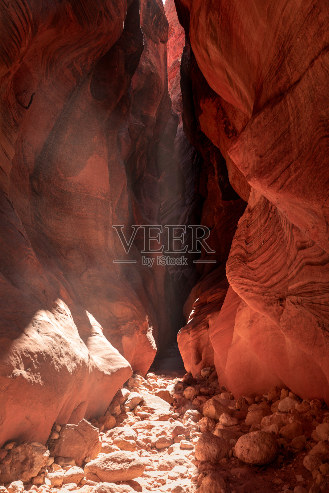 犹他州卡纳布的铁丝小道上的鹿皮沟槽峡谷照片摄影图片