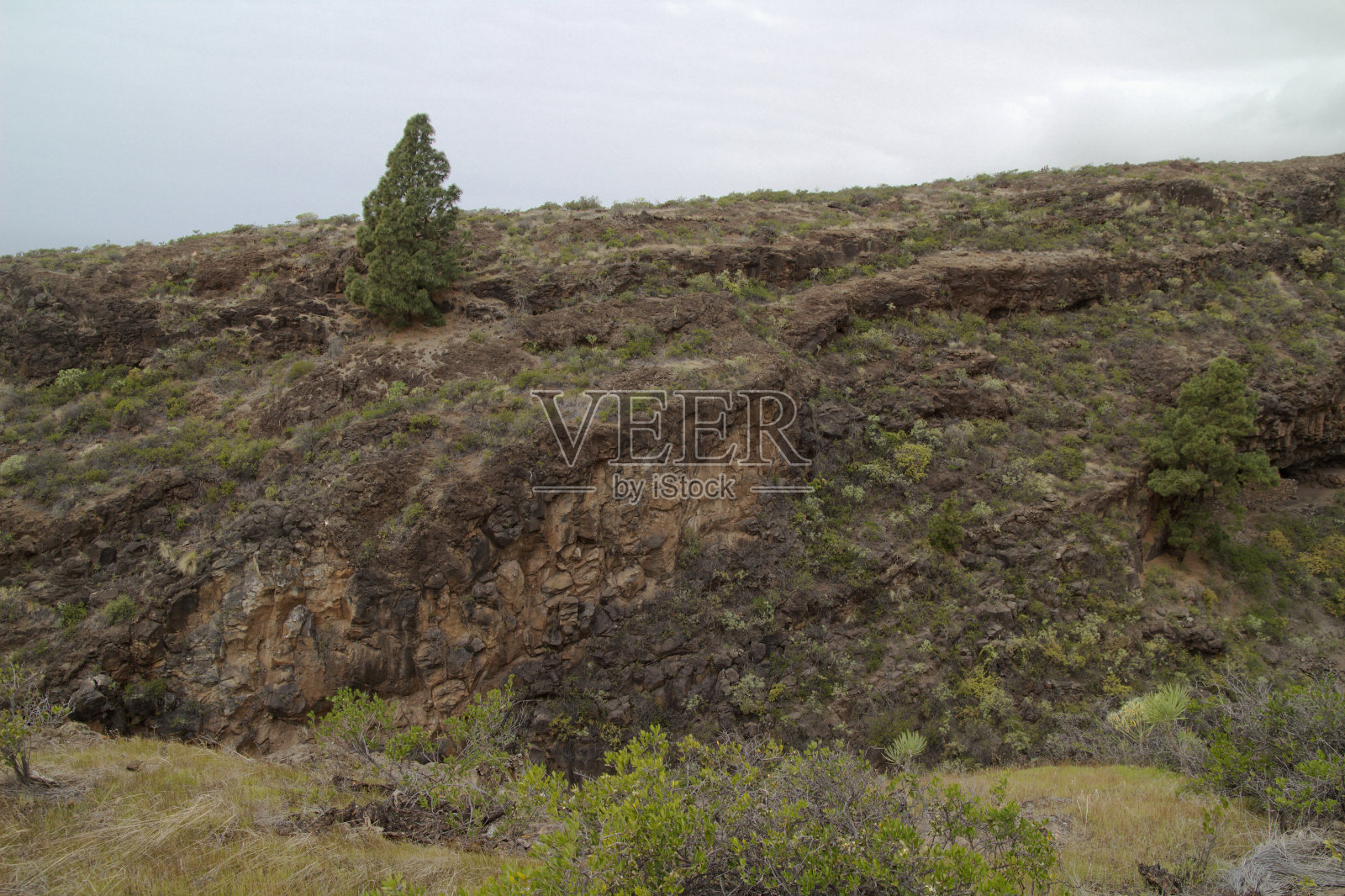 拉帕尔马岛西部陡峭海岸景观，蒂哈拉费市，通往坎德拉里亚之路照片摄影图片