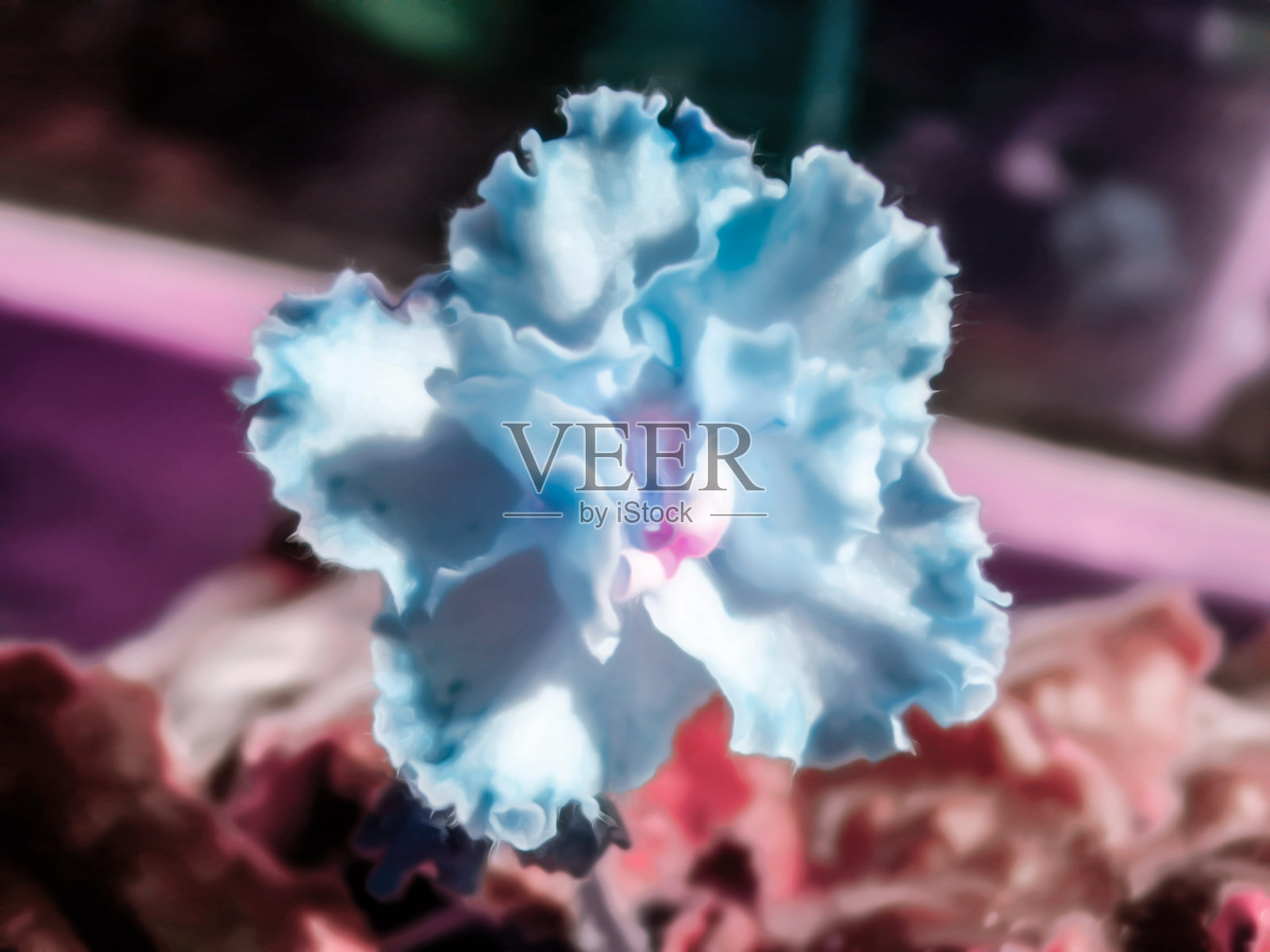 色调的自然花卉背景设计与美丽的紫罗兰花的艺术写实插图照片摄影图片