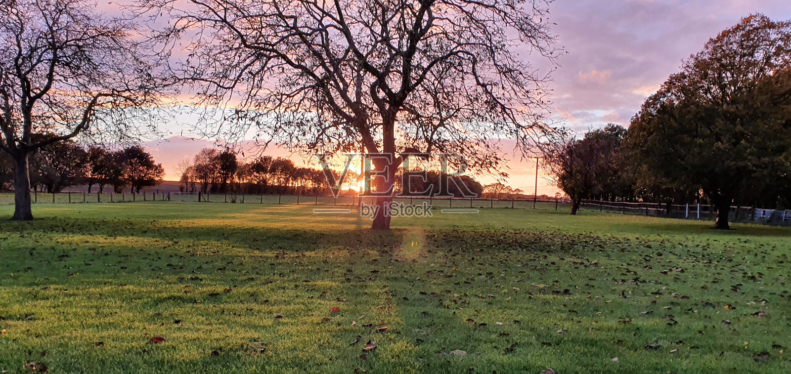 农场上的日落。照片摄影图片