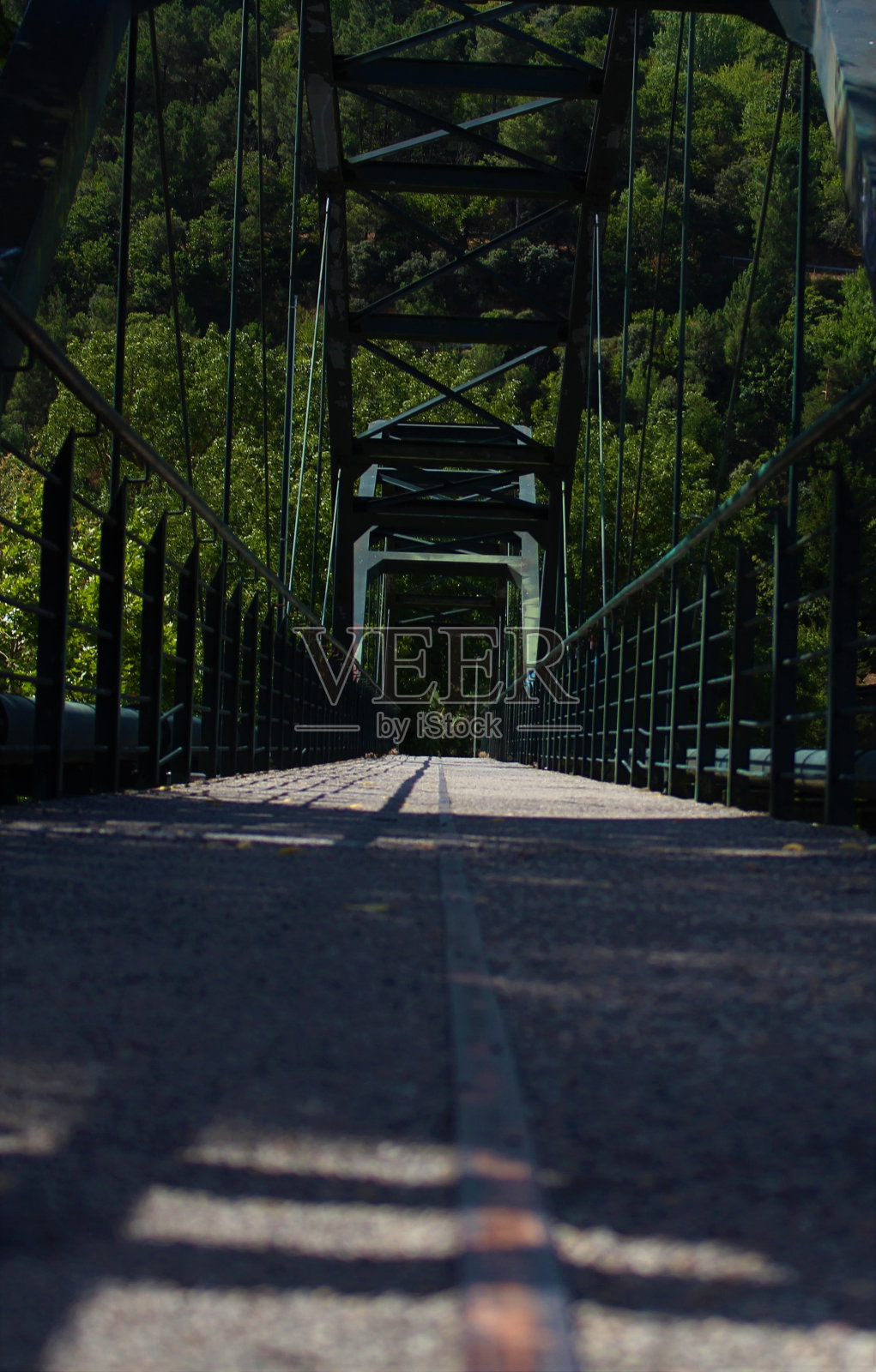 空旷的道路沿着树林。照片摄影图片