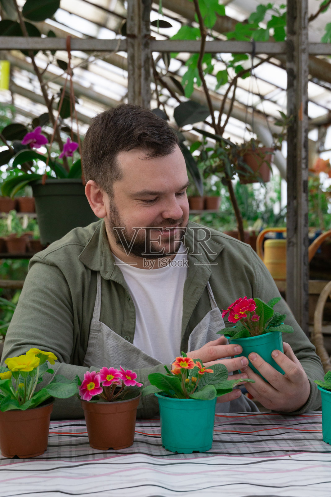 年轻的农民微笑着在卖花前检查花盆。园艺、苗、销售照片摄影图片