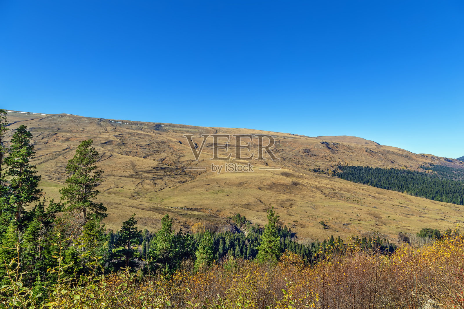 拉各纳基高原，Adygea，俄罗斯照片摄影图片